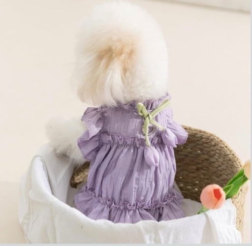 美品 フリル付きドッグドレス 犬猫用 チューリップ柄 ワンピース M