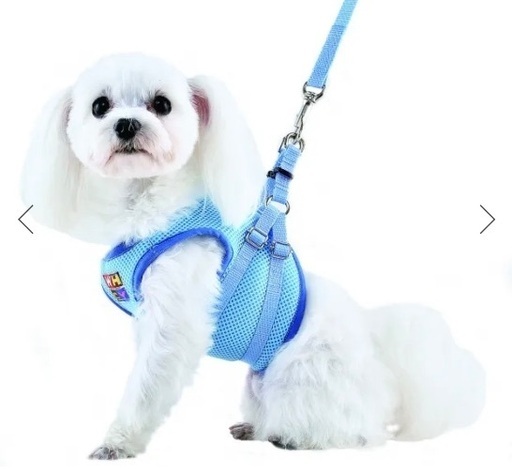 未使用 ウォームハートカンパニー 小型犬 猫 ハーネス リードセット 胴輪