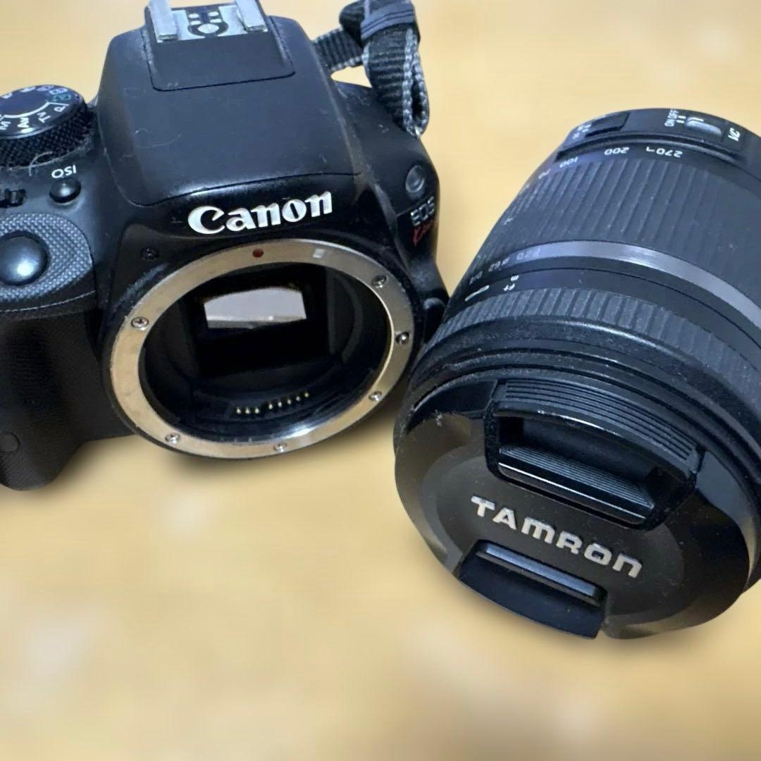 Canon EOS Kiss X7 本体/TAMRON 18-270mmの写真2枚目