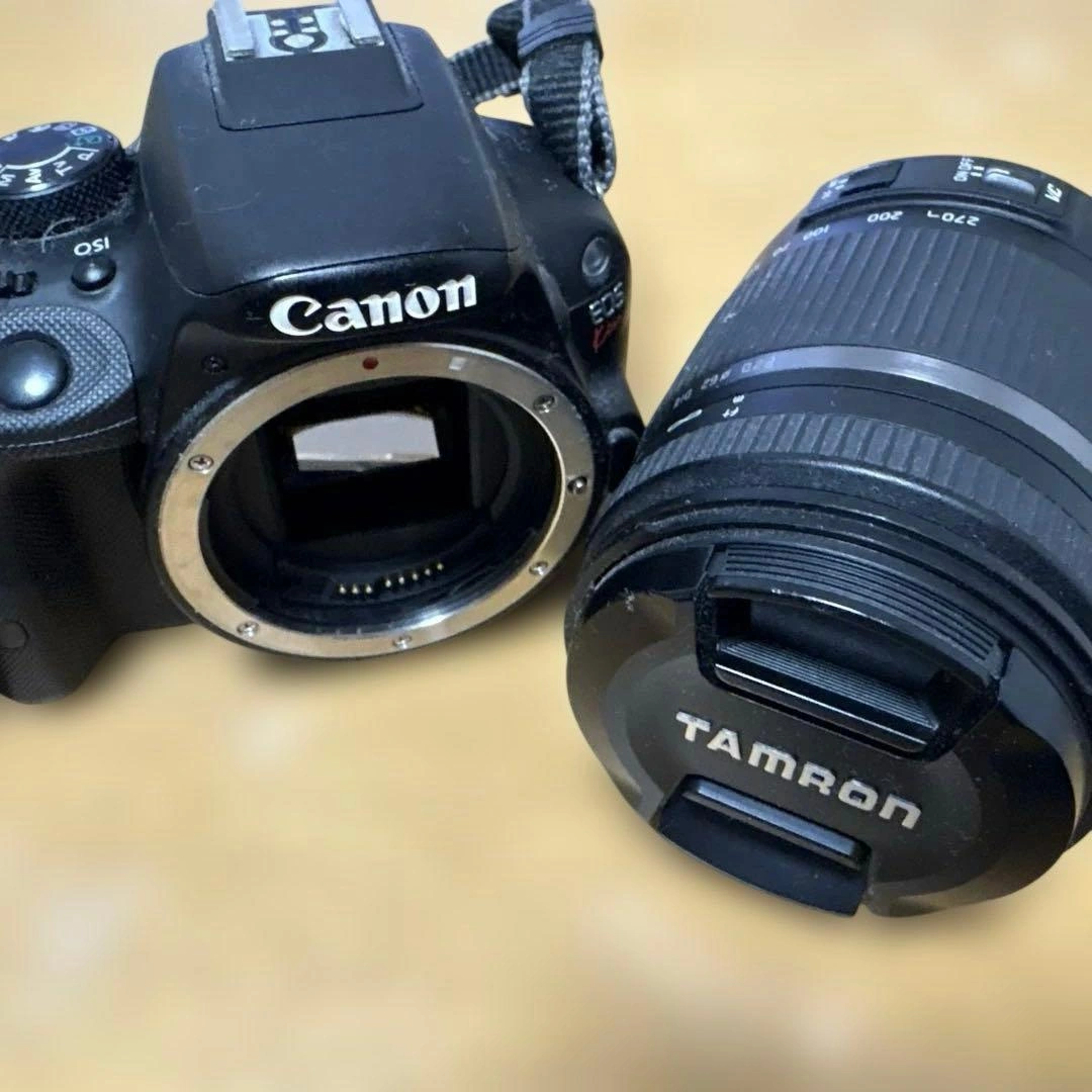 Canon EOS Kiss X7 本体/TAMRON 18-270mmの写真2枚目