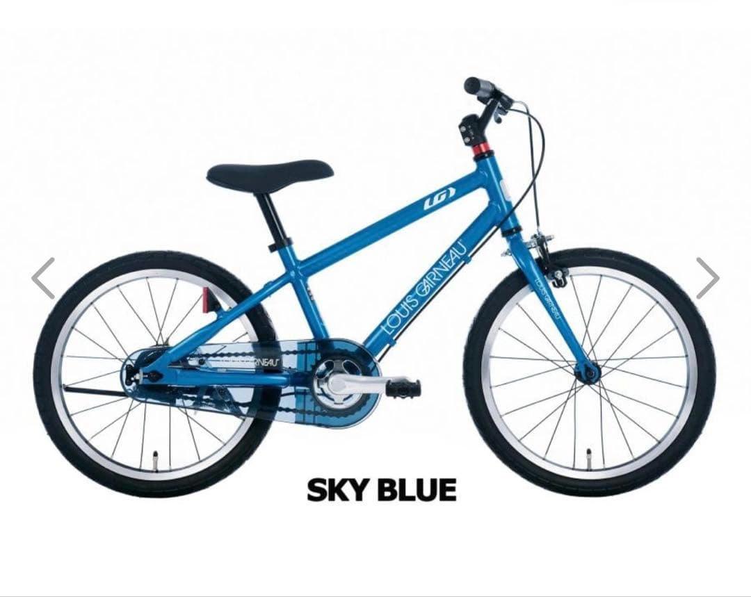 【直接お取引限定】ルイガノ 18インチ 子供用 自転車 ブルー