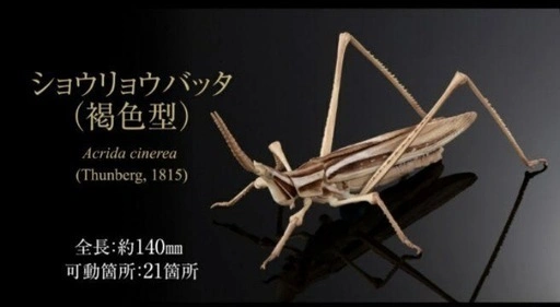 【新品未開封/3割引】いきもの大図鑑アドバンスオオカマキリとショウリョウバッタ