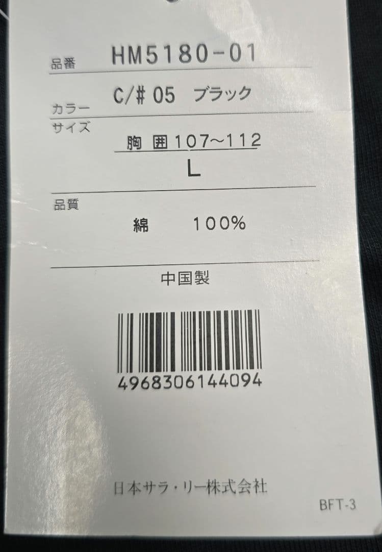 Hanes BEEFY-T リンクコーデ用 メンズ(L) ボーイズ(M・140)の写真7枚目