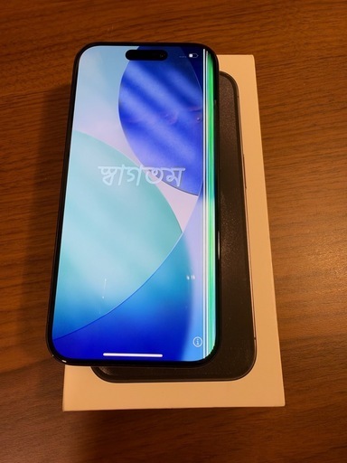 【訳あり品】iPhone 15 Pro 256GB ブラックチタニウム Apple正規店購入 液晶縦線あり•3倍ズーム黒点ありの写真2枚目