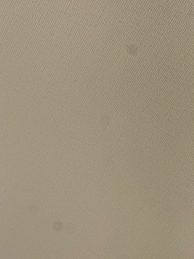 【訳あり品】iPhone 15 Pro 256GB ブラックチタニウム Apple正規店購入 液晶縦線あり•3倍ズーム黒点ありの写真3枚目