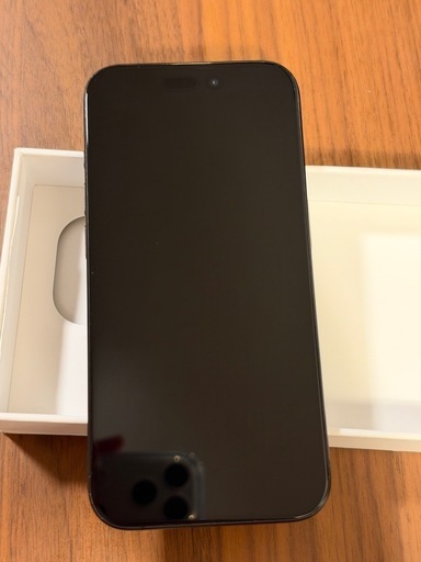 【訳あり品】iPhone 15 Pro 256GB ブラックチタニウム Apple正規店購入 液晶縦線あり•3倍ズーム黒点ありの写真4枚目
