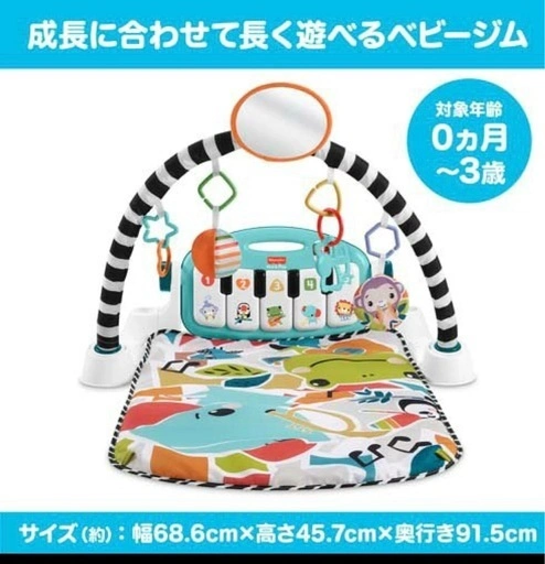 【超美品】世界で一番売れてるベビージムの写真2枚目