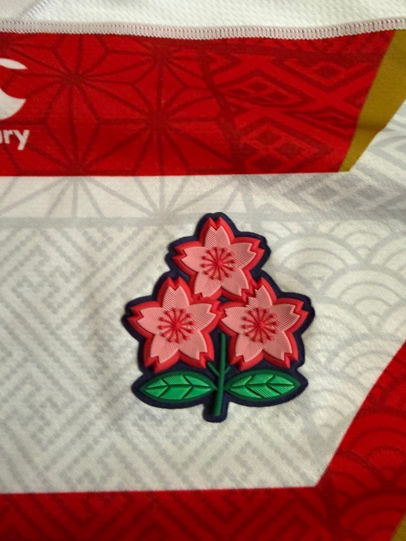 RWC2019 日本代表 カンタベリー VWR39000 美品 ラグビージャージの写真3枚目