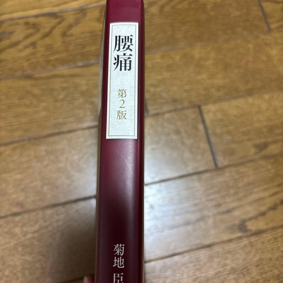 腰痛 菊地 臣一の写真3枚目