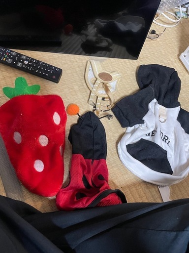 無料　ペット　服　S