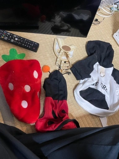 無料 ペット 服 S