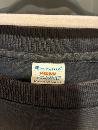 Champion チャンピオン Tシャツ ブラック メンズ Mの写真3枚目