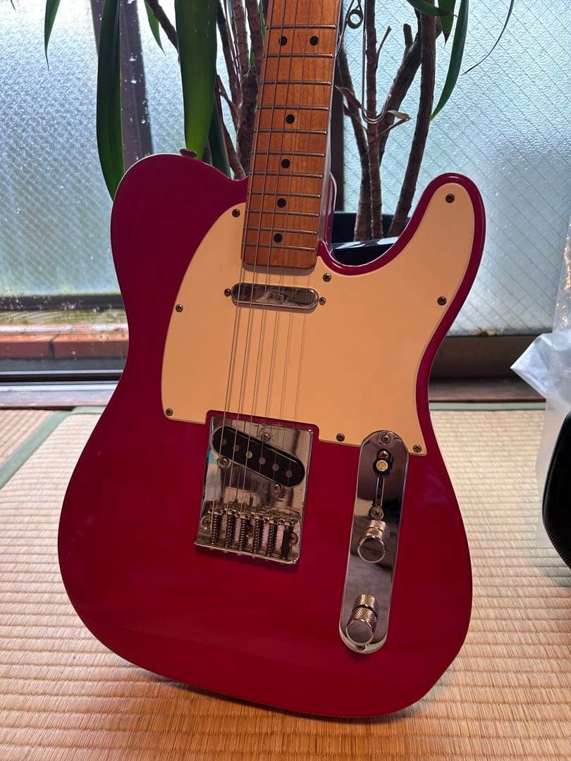 Fender Mexico Telecaster Squier Seriesの写真10枚目