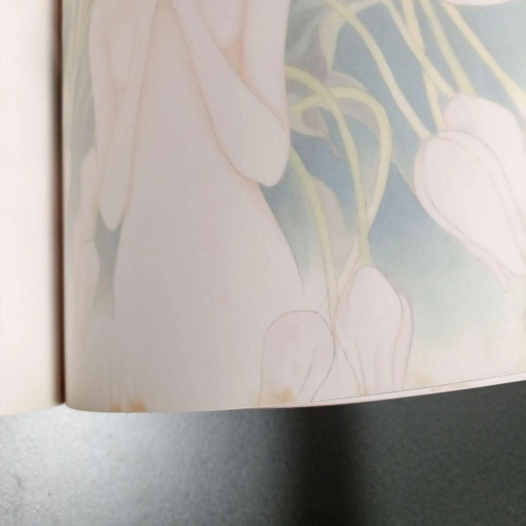 清水玲子 イラスト集 ARIAの写真5枚目