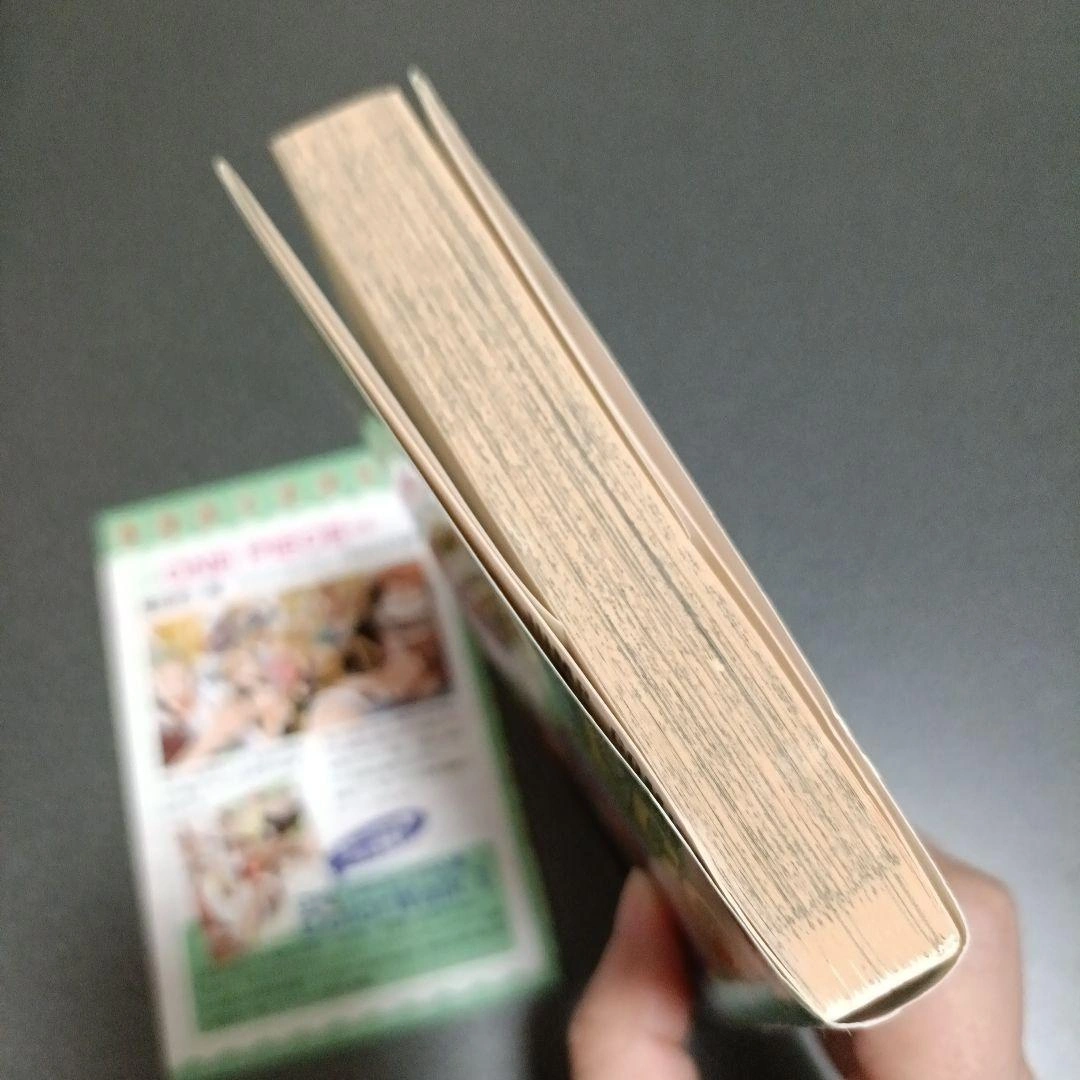 【初版•帯つき•コミックスニュースつき】ONE PIECE 19巻 反乱の写真5枚目