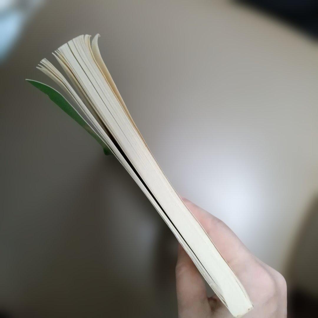【希少】静岡聖光学院 学校誌 静聖 第14号の写真7枚目