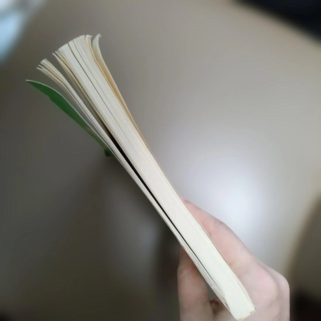 【希少】静岡聖光学院 学校誌 静聖 第14号の写真7枚目