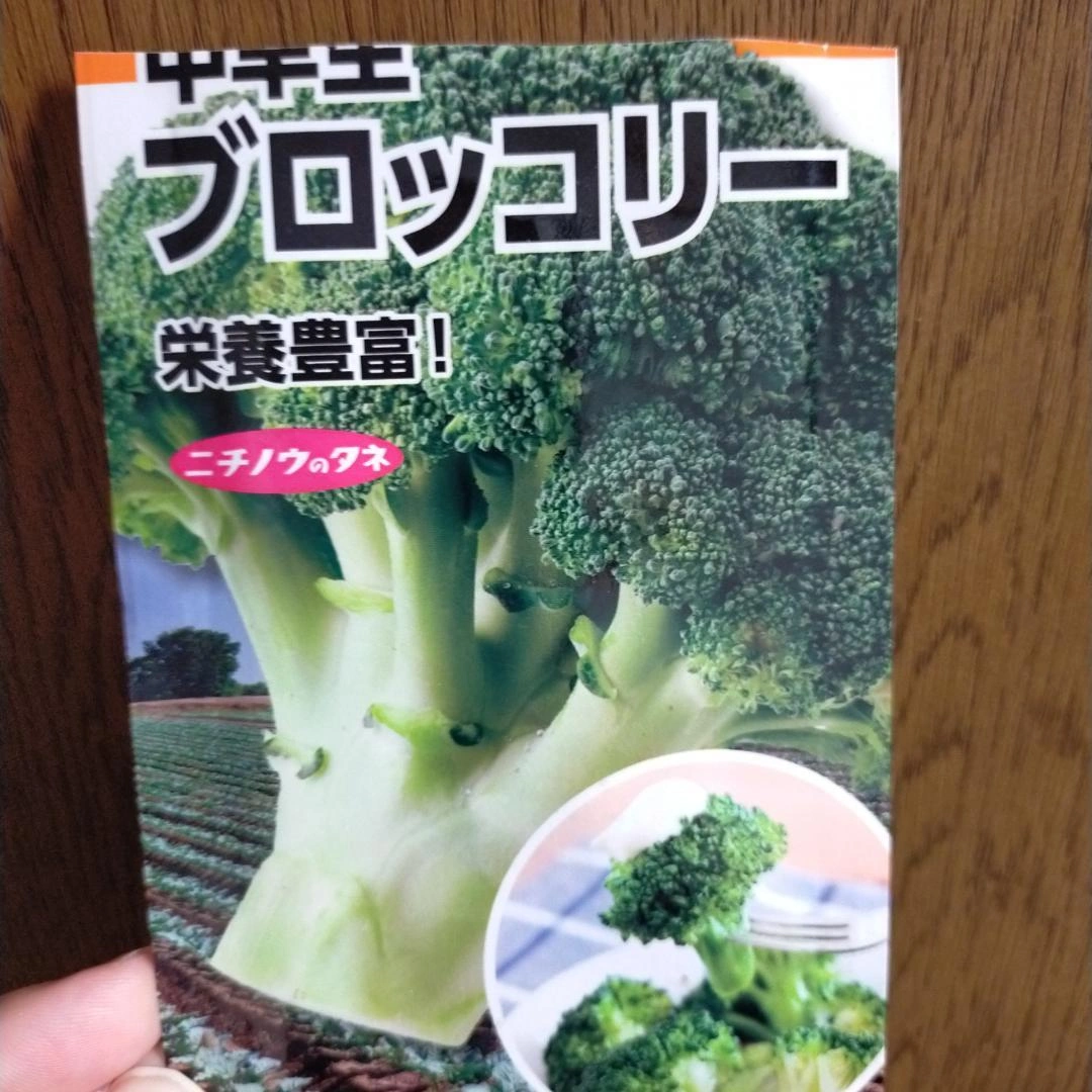 【無農薬苗】ブロッコリー 12苗 オクラ/なす/ミニトマト変更OKの写真2枚目