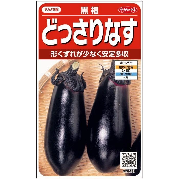 【無農薬苗】ブロッコリー 12苗 オクラ/なす/ミニトマト変更OKの写真8枚目