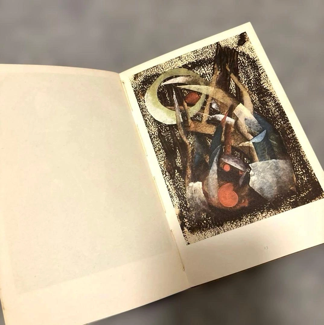 ヴィンテージ フリッツ・ウィンター 画集Triebkräfte der Erdeの写真6枚目