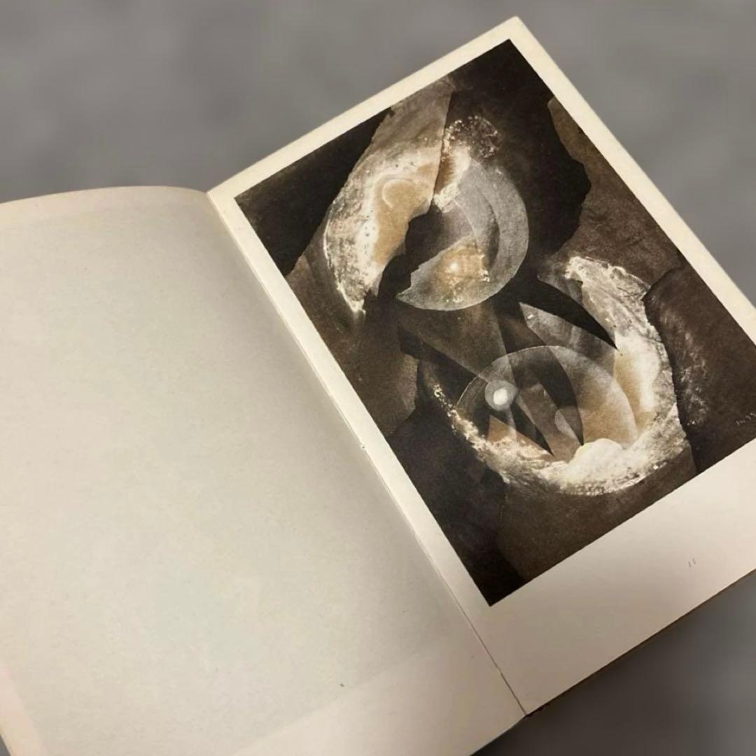 ヴィンテージ フリッツ・ウィンター 画集Triebkräfte der Erdeの写真7枚目