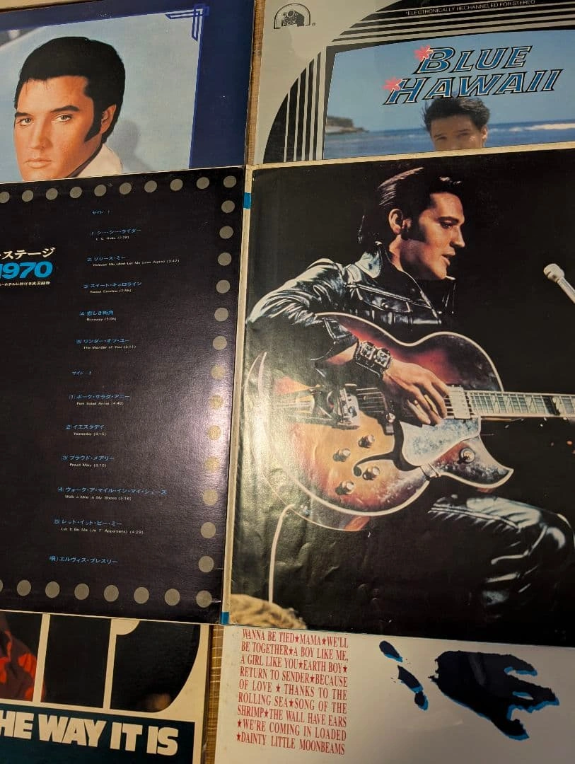 Elvis Presley レコード・レーザーディスク まとめ売りの写真8枚目