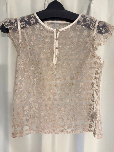 【美品】秋服 Lily Brown 花柄刺繍レース 半袖トップス