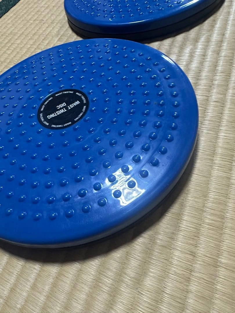 新品 ツイストディスク 2個セット 股関節 コンディショニング 体幹 宅トレ
