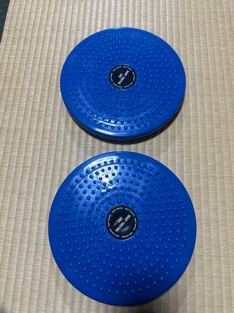 新品 ツイストディスク 2個セット 股関節 コンディショニング 体幹 宅トレの写真2枚目