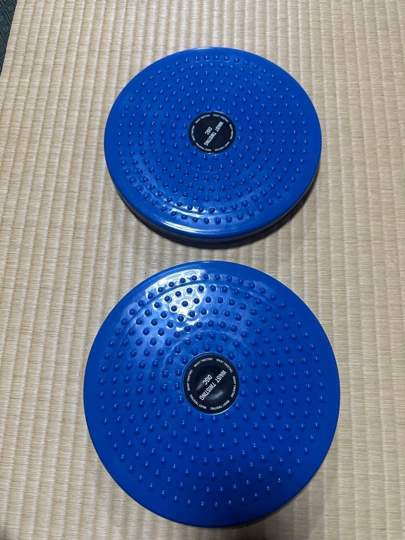 新品 ツイストディスク 2個セット 股関節 コンディショニング 体幹 宅トレの写真2枚目