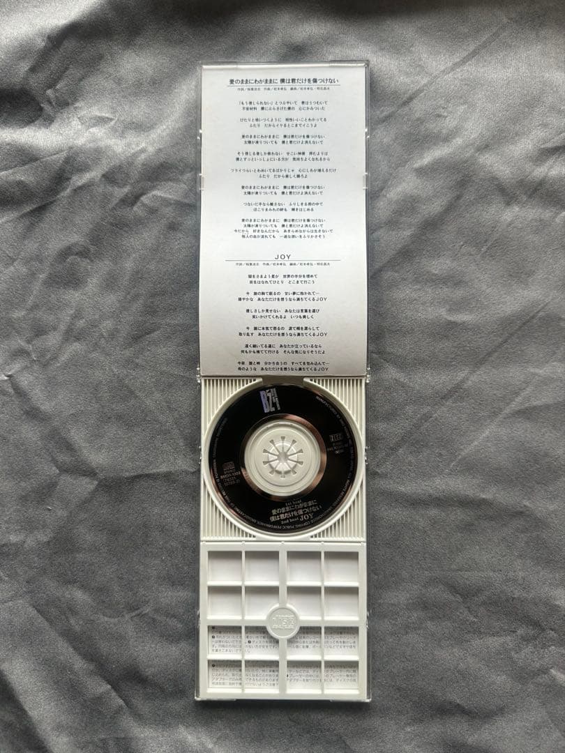 B’z 愛のままにわがままに 8cm CD 短冊CD ハードケース付 1993年の写真3枚目