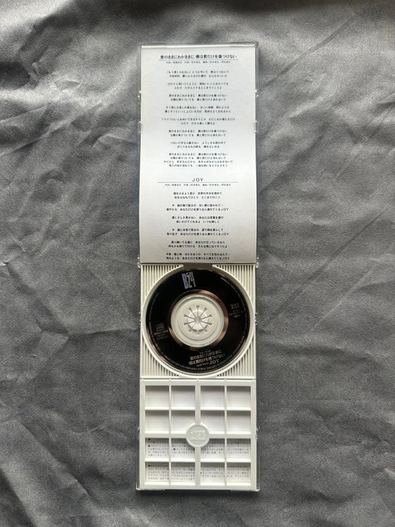 B’z 愛のままにわがままに 8cm CD 短冊CD ハードケース付 1993年の写真3枚目