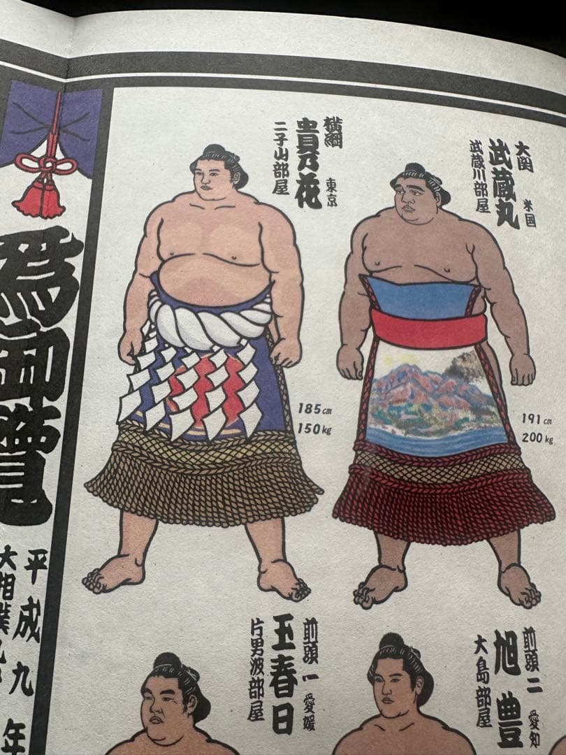 希少 平成9年 九州場所 大相撲 絵番付 1997年 貴乃花 曙 武蔵丸の写真3枚目