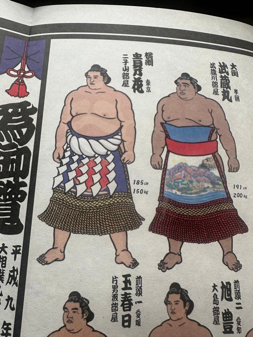 希少 平成9年 九州場所 大相撲 絵番付 1997年 貴乃花 曙 武蔵丸の写真3枚目