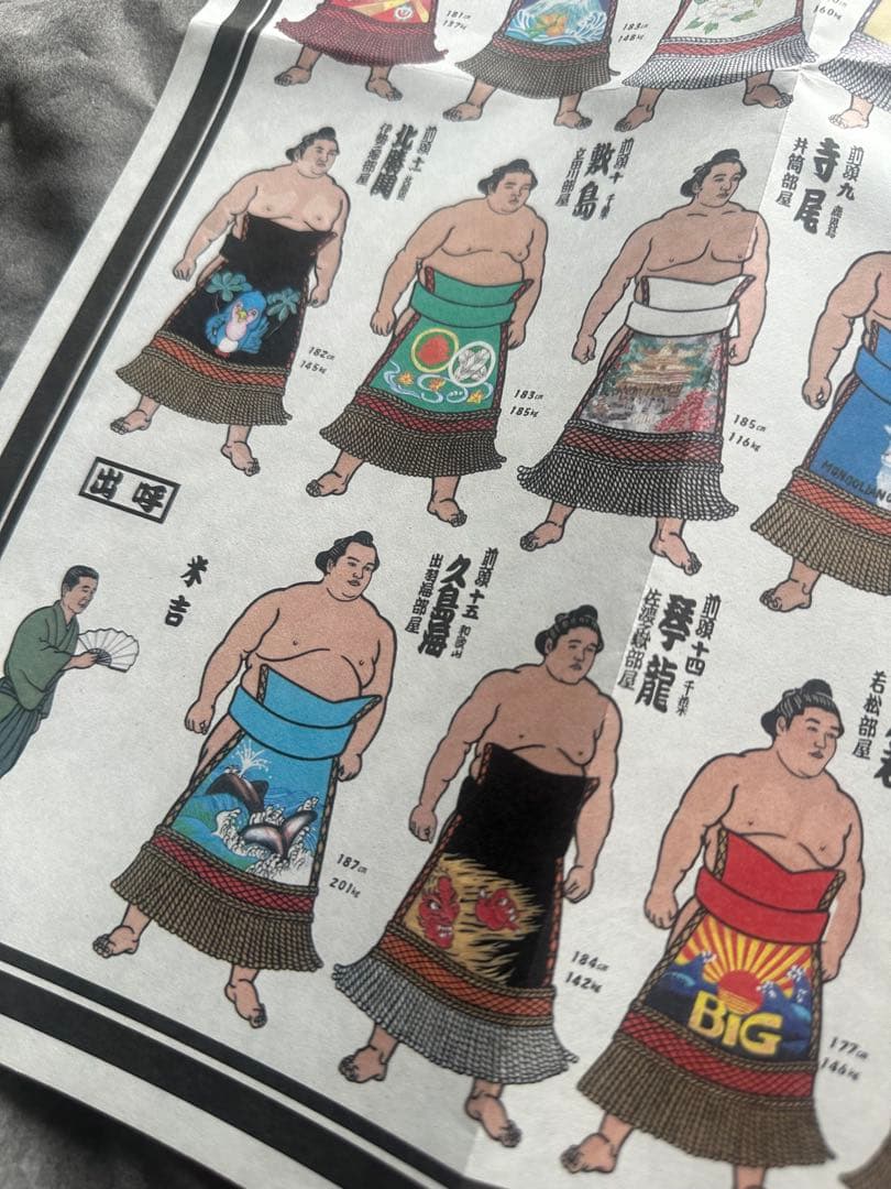 希少 平成9年 九州場所 大相撲 絵番付 1997年 貴乃花 曙 武蔵丸の写真6枚目