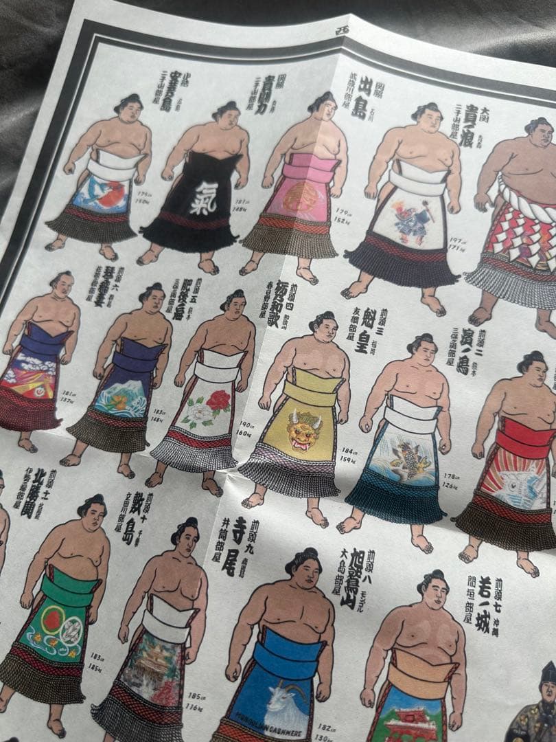 希少 平成9年 九州場所 大相撲 絵番付 1997年 貴乃花 曙 武蔵丸の写真7枚目