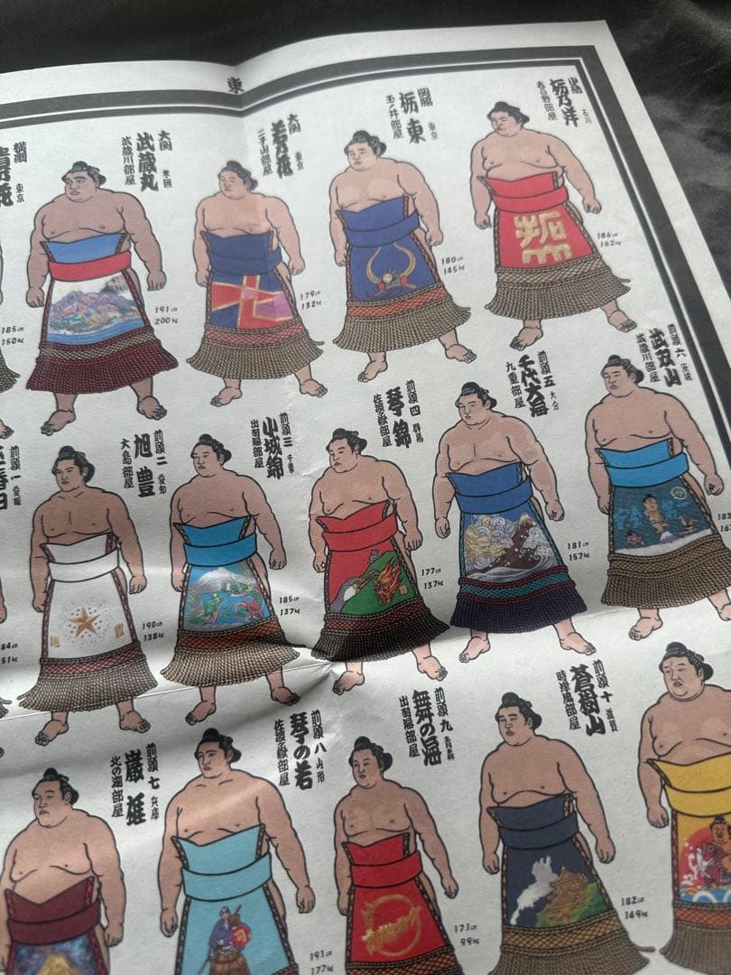 希少 平成9年 九州場所 大相撲 絵番付 1997年 貴乃花 曙 武蔵丸の写真8枚目