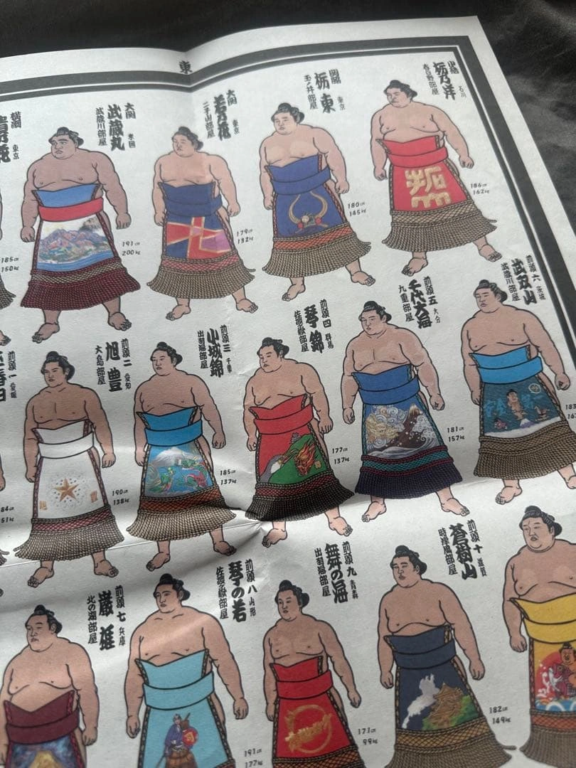 希少 平成9年 九州場所 大相撲 絵番付 1997年 貴乃花 曙 武蔵丸の写真8枚目