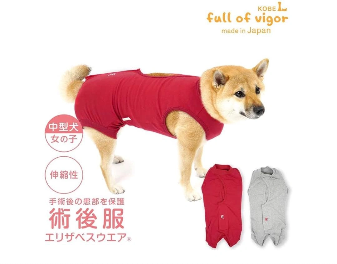 中型犬用 術後服 女の子 N3L 2枚グレー・赤セットの写真3枚目