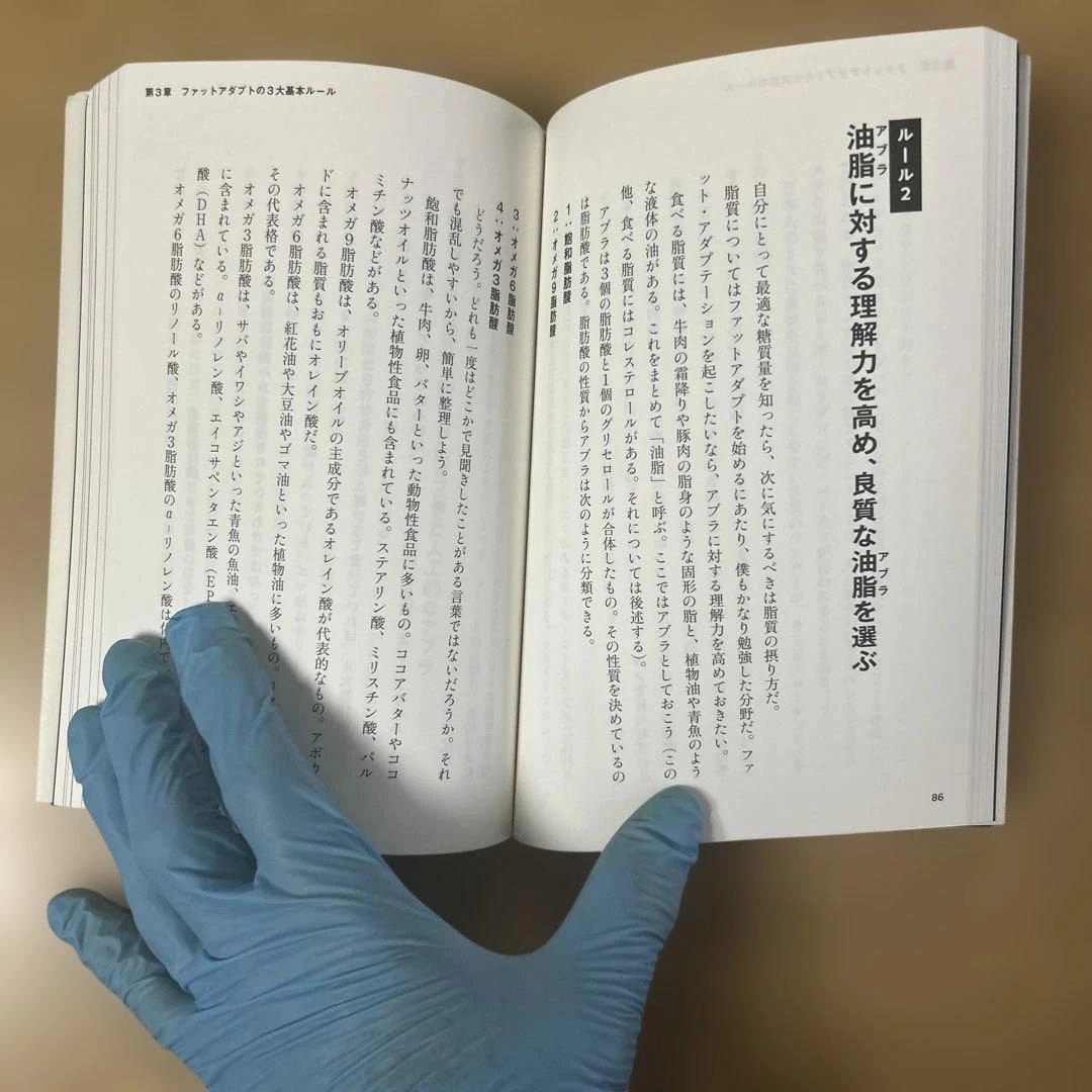 長友佑都のファットアダプト食事法28日間プログラム、走れる体になる 体幹メソッドの写真8枚目