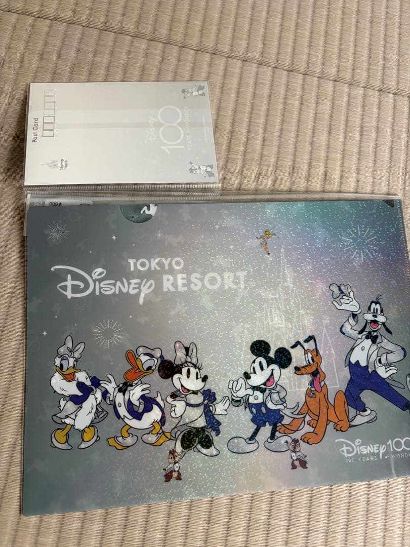 東京、香港ディズニークリアファイル 25枚セットの写真6枚目