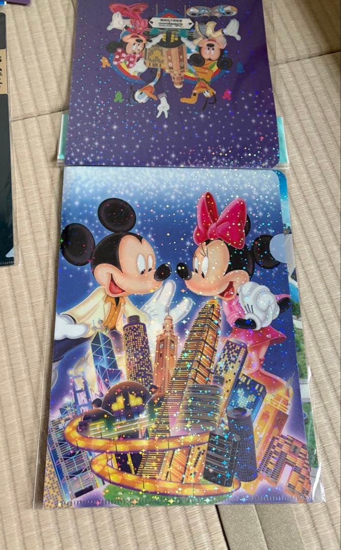 東京、香港ディズニークリアファイル 25枚セットの写真10枚目