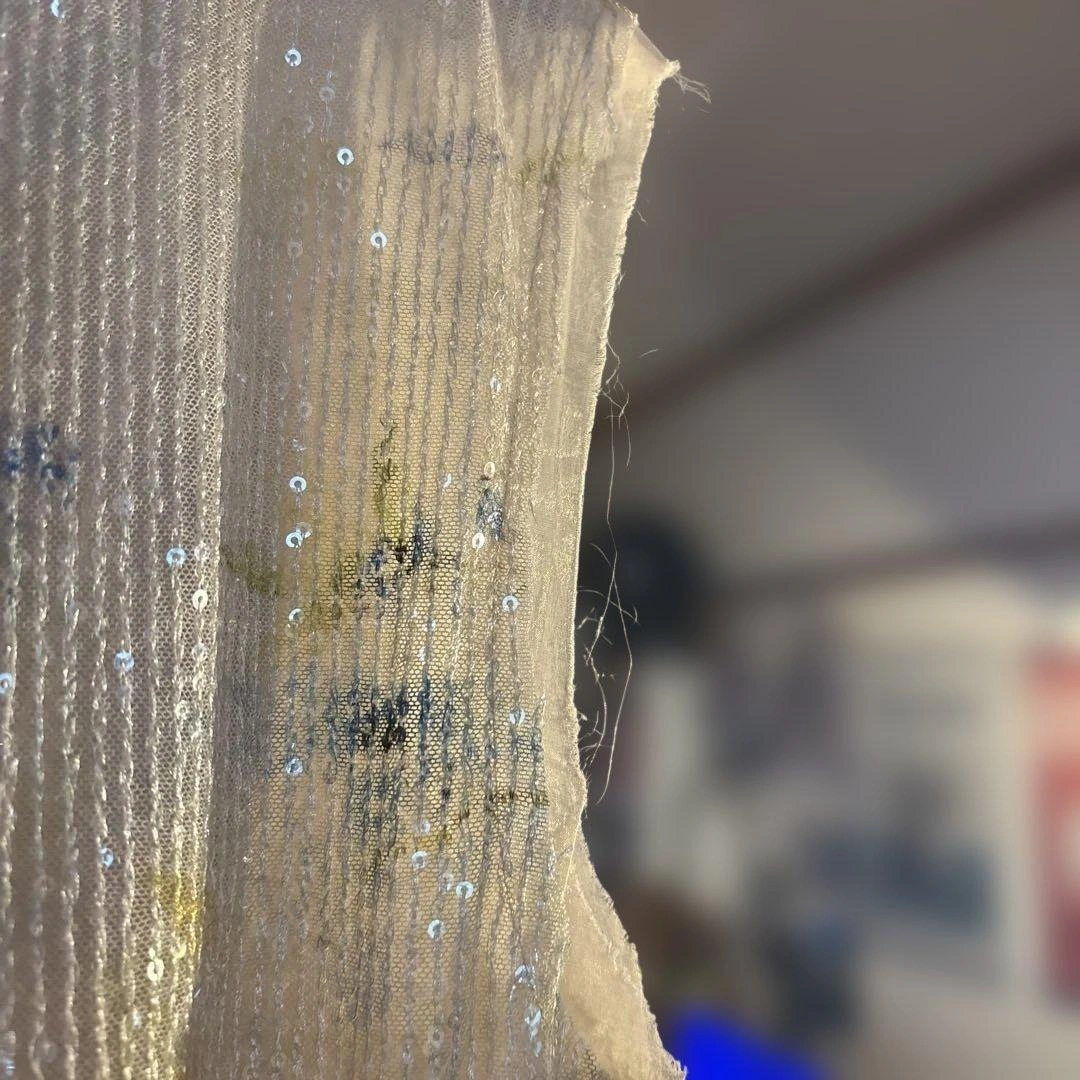 【最終値下げ】ZARA スパンコール ノースリーブ トップスの写真5枚目
