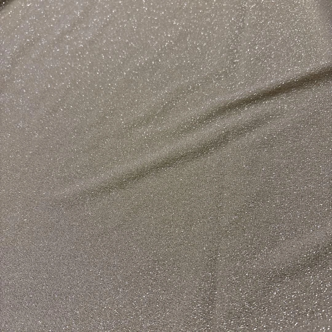 SENSE OF PLACE ラメ半袖Tシャツ シルバーの写真6枚目