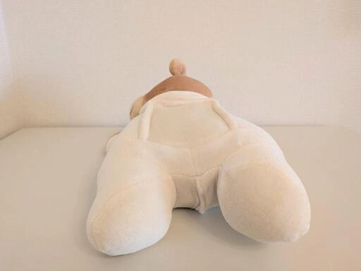 【状態良好】プリンスライオンハート ぬいぐるみ サウンドBOXの写真2枚目