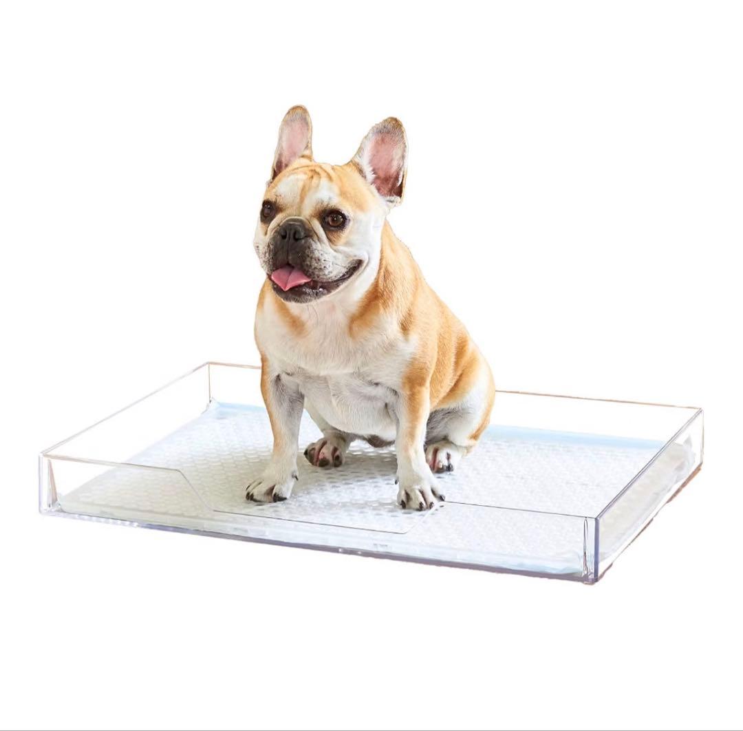 犬用トイレ クリアレット2 M ワイドシーツ対応 クリア 透明 インテリアトイレの写真2枚目