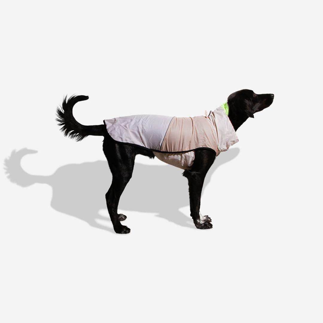 zee.dog OATMEAL RAINCOAT S オットミールレインコートS
