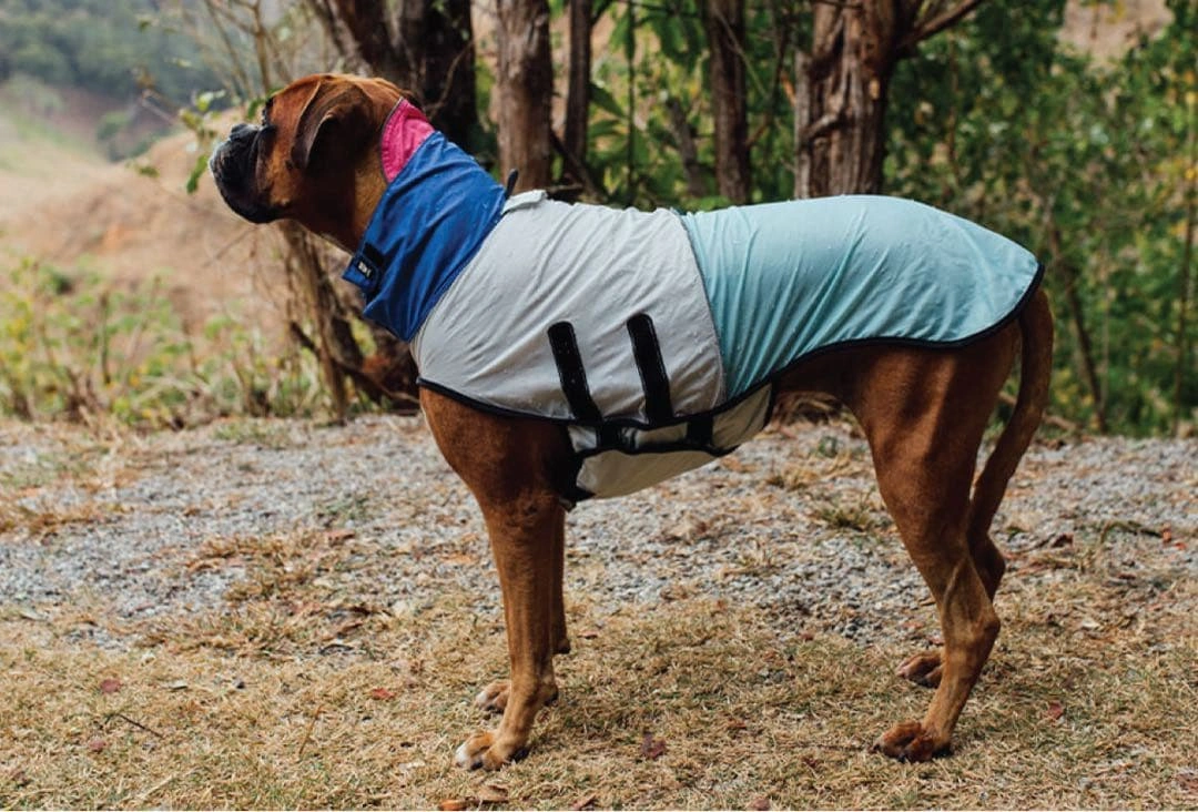 zee.dog 90‘s RAINCOAT S ナインチース レインコート Sの写真9枚目