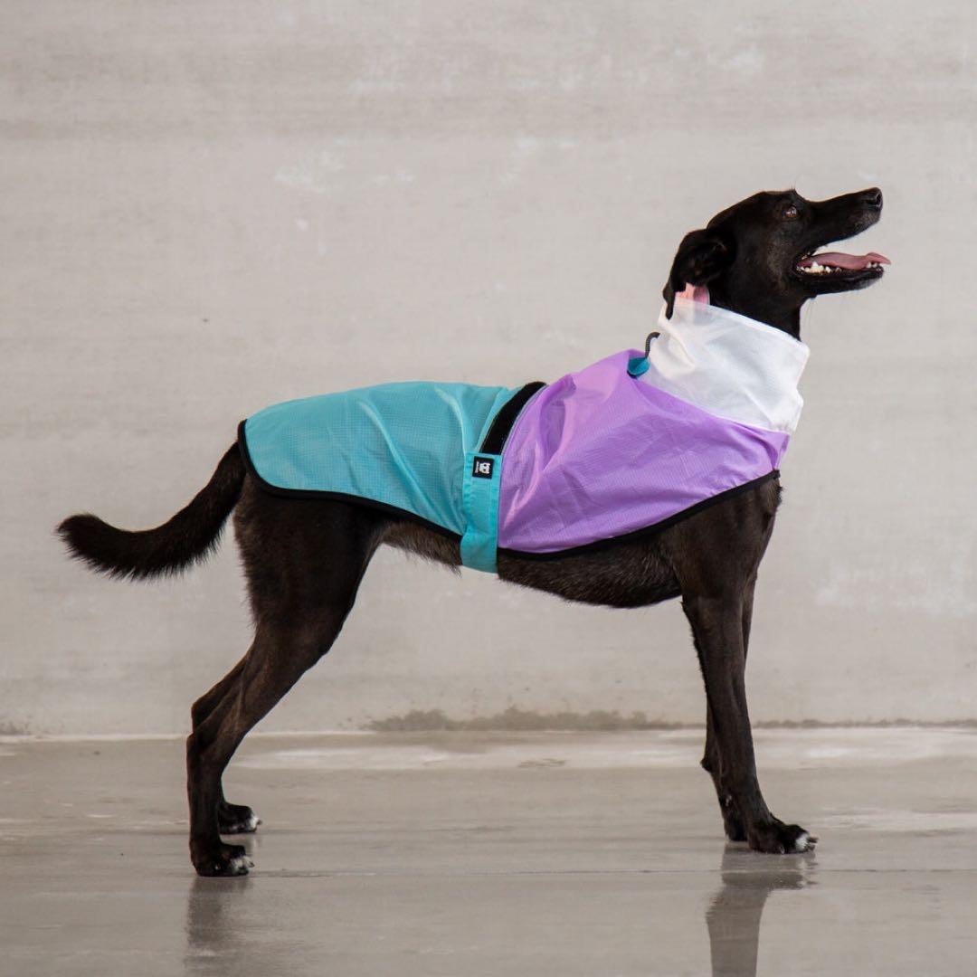 zee.dog BEL-AIR RAINCOAT S ベルエア レインコートS