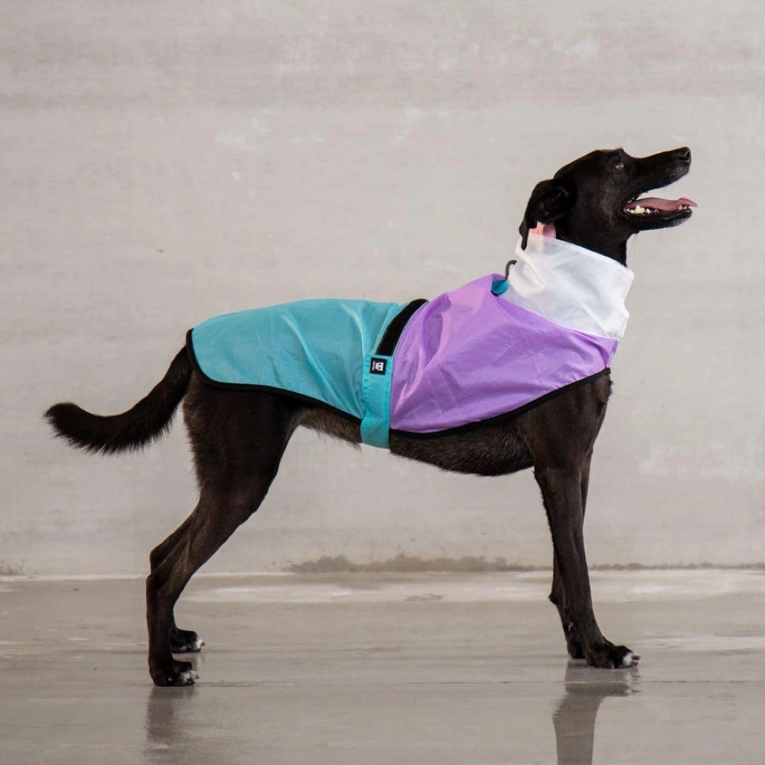 zee.dog BEL-AIR RAINCOAT S ベルエア レインコートS